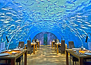 The Maldives is one of two countries in the world that boasts an underwater restaurant.