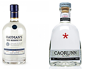 The World's 10 Best Gins