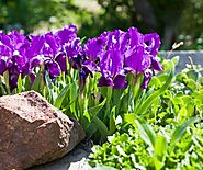 Repair Garage Door Indianapolis. Garage Door Specialist - Indianapolis, IN. Projects, photos, reviews and more | Porch