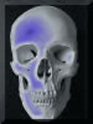 Virtual Skeleton: Human Osteology