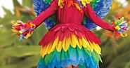 parrot girl costume