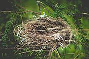 On Empty Nests, Christian Mommy Guilt, and Misplaced Identity