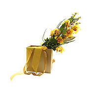 Buy Imported Fresh Flowers for your Special Occasions | Keona