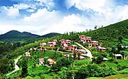 Attraction, Travel agents, Things To Do, Popular Places, Ooty India â VTripIndia