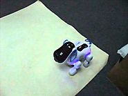 I-ROBOT ELECTRONIC ROBOTIC PET DOG WALKING PUPPY KIDS CHILDREN GENUINE TOY