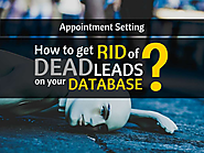 How to Get Rid of Dead Leads on your Database?