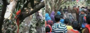 News in Hindi: Minor student raped, murdered bodies hung on trees