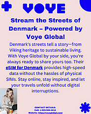 Denmark Diaries in Real Time — Voye Global Makes It Possible