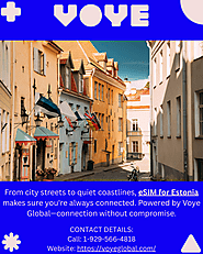 Unlock Unlimited Exploration with Voye Global