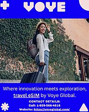 Smooth Travel Days Powered By Voye Global