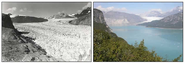 Glacier Photograph Collection