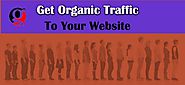 How To Grow Organic Visits To Your Site Instantly? | Global Blurb