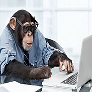 Five Rude Emails You Send Every Day