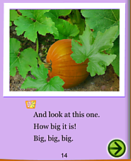 Pumpkin, Pumpkin for Early Readers