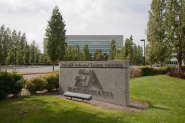 Electronic Arts i nowy CEO