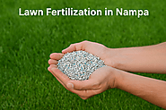 Lawn Fertilization in Nampa