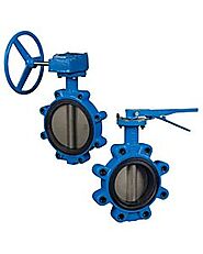 Pratt Industrial Butterfly Valves | BF Series, MKII, Triton