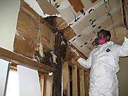 Steps to Prevent Mold Growth in Your Vacation Home