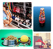 Pet Supplies Logistics: Safe & Reliable logistics | Argus Logistics