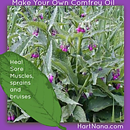 Make Comfrey Oil - It is a Carpel Tunnel Natural Remedy!