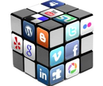 Negotiating the social media maze
