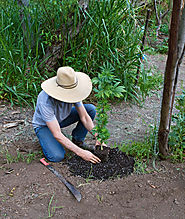 Master Grower Certification | Green CulturED Cannabis College