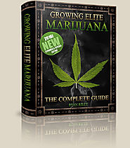 Growing Elite Marijuana