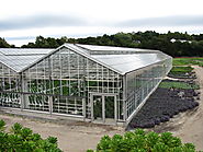 Greenhouse Grower Certification | Green CulturED Cannabis College