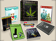 The World's Best Marijuana Growing System