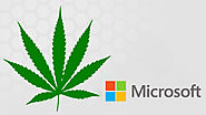 The #Cannabis Industry & #Microsoft (giving us some love)