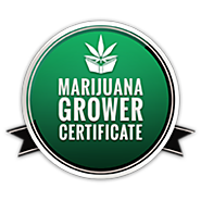 Enroll in Cannabis College Now | Cannabis Training University