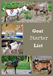 Here are some of the supplies you will need to start raising goats