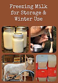 Here's how to freeze goat milk for long term storage