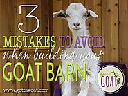 3 Mistakes to Avoid When Building Your Goat Barn