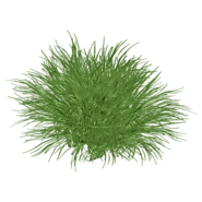 Best Lemongrass Hand Soaps for 2017 - Top Natural Hand Soap List and Reviews