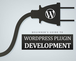 Beginner's Guide to Develop Powerful WordPress Plugin