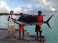 Big Game Fishing in Maldives