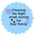 Choosing the right small animal for your family