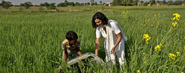 The Greenpeace Challenge: A Water Pump (R)Evolution For Indian Farmers