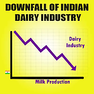 Downfall of Indian dairy industry