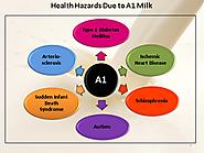 Risk factors of A1 milk