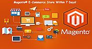 Magento® E-Commerce Store Within 7 Days!