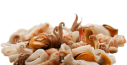 Specialisti in tempura, stoccafisso e merluzzo nordico