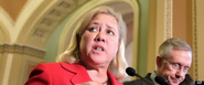 The Daily Bastardette: Life Imitates Art: Mary Landrieu Calls Pavel Astakhov an ass; Then files bill to speed up inte...