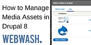 How to Manage Media Assets in Drupal 8 - WebWash