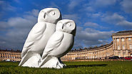 Minerva’s Owls Bath Sculpture Trail | Bath, UK, Summer 2018