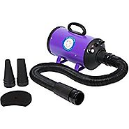 Flying One High Velocity 4.0 Hp Motor Dog Pet Grooming Force Dryer w/ Heater