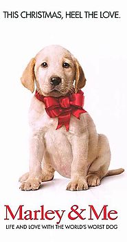 Marley & Me (2008)