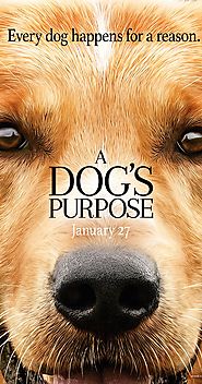 A Dog's Purpose (2017)