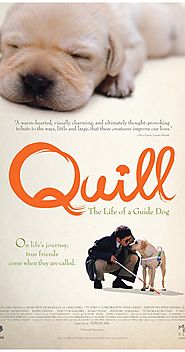 Quill: The Life of a Guide Dog (2004)